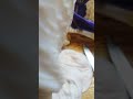 تنظيف الكراشة تنظيف الكراشة