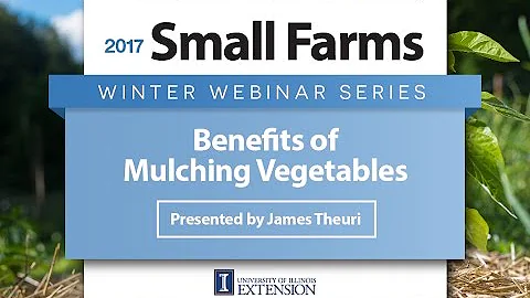 Benefits of Mulching Vegetables - James Theuri - U...