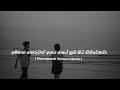 අමතක කෙරුවත් ආයෙ ආයේ නුබ මට සිහිවෙනවා | Thawaparak Hamuwi Hinahi | තවපාරක් හමුවී හිනැහී - slow minds