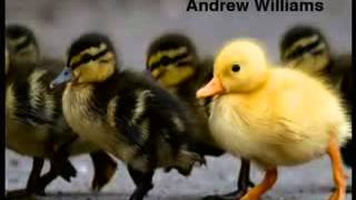 (Part 5) BBC Springwatch 2012 - Episode 12