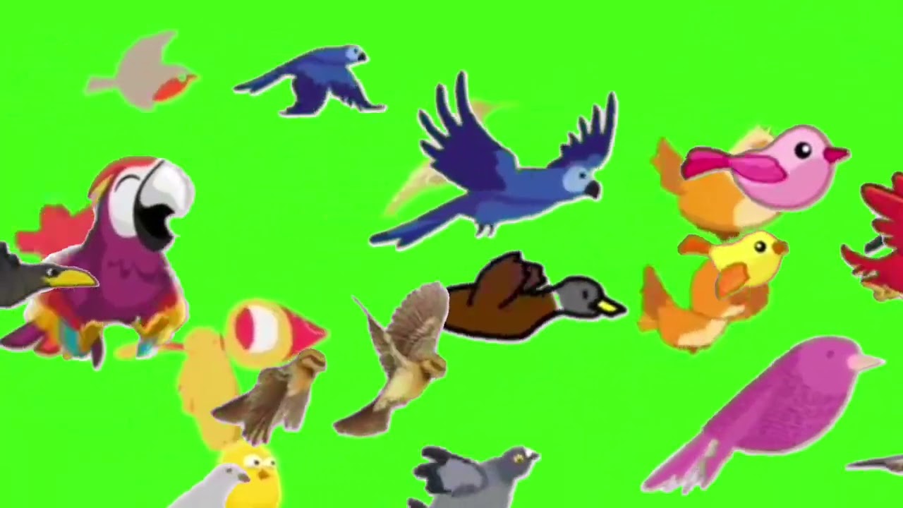 Animals Green Screen Cartoon Video | All Stampede Crossover Birds All Animals Running
