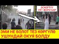 Адамдары ушундай коркунуч каптап келатат! Жансыз интеллект...