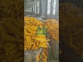 Production process of frp cable bracket