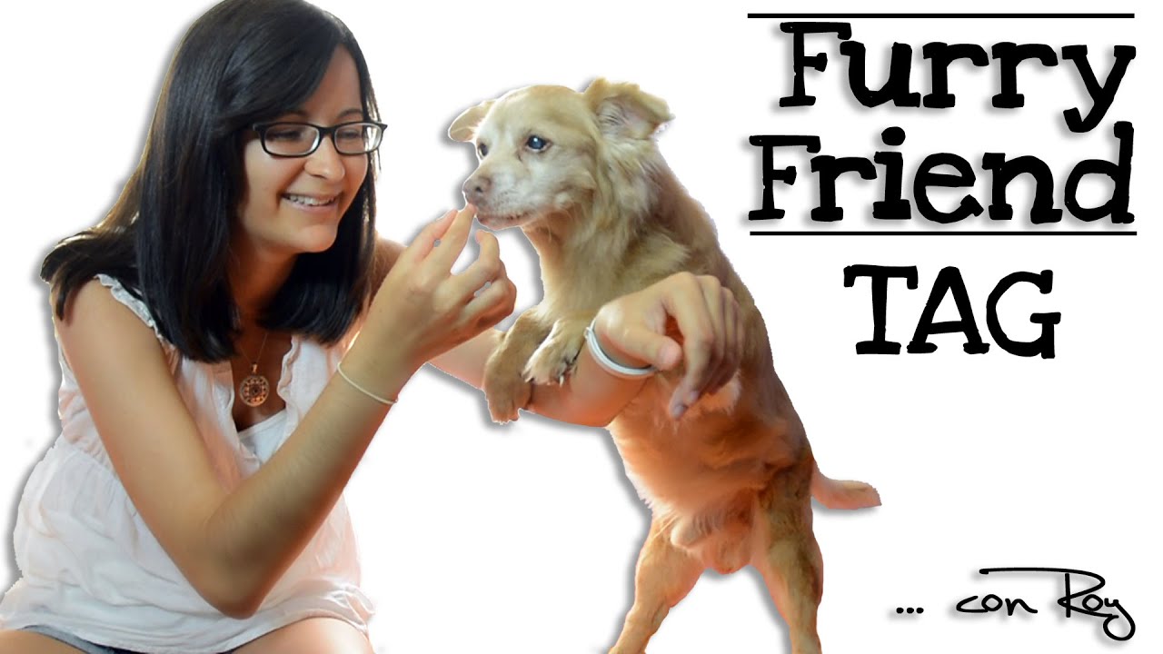 vlogs in spanish FURRY FRIEND TAG (con Roy) | LauVlogs