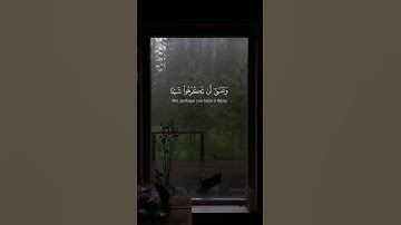 وَعَسَى أَن تَكْرَهُوا شَيْئًا وَهُوَ خَيْرٌ لَّكُمْ🌿سوره بقره | Surah Al-Baqarah🌿 Quran🌿قرآن🌿islam