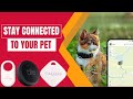 Best gps pet trackers  keep an eye on your furry friend