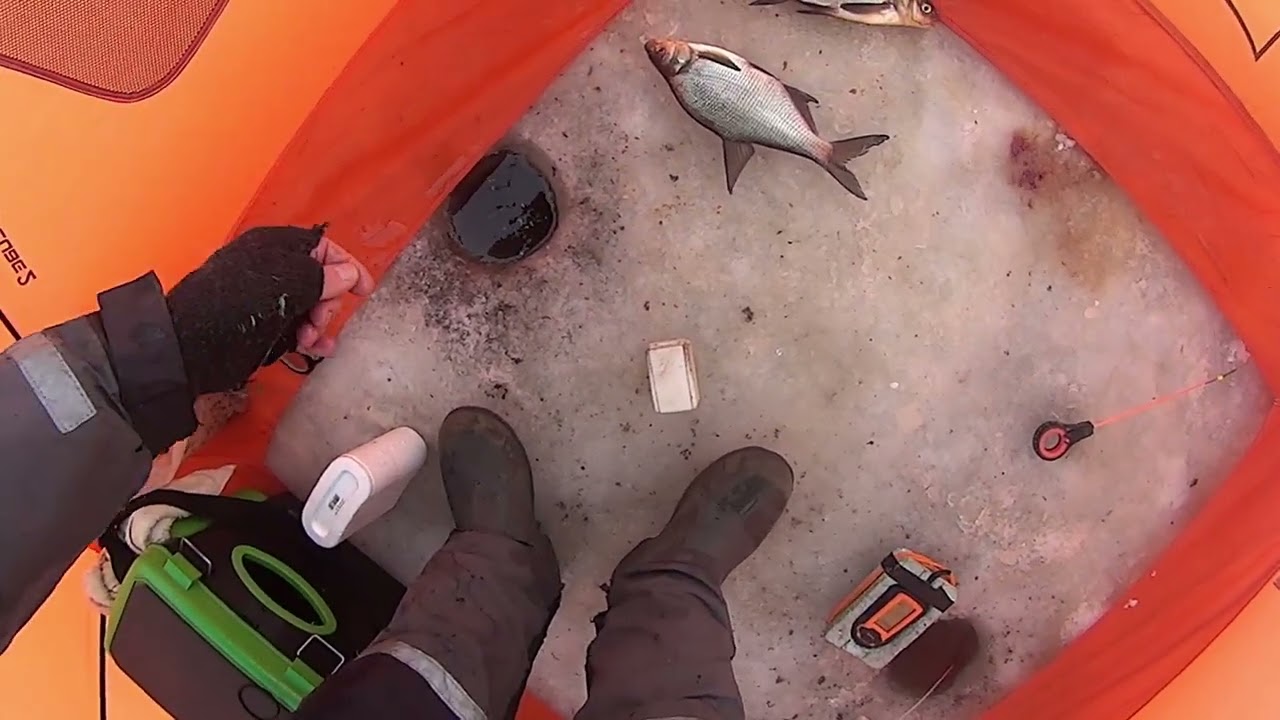 Latika püük talvel väikejärvel 27 veebruar