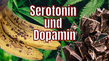 Welche Lebensmittel erhöhen Serotonin?