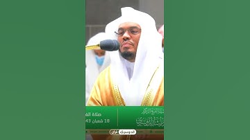 وتوكل على العزيز الرحيم | ترتيل بياتى بديع لأواخر سورة الشعراء