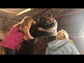 Heritage Hopes: A Horseback Ride to Remember