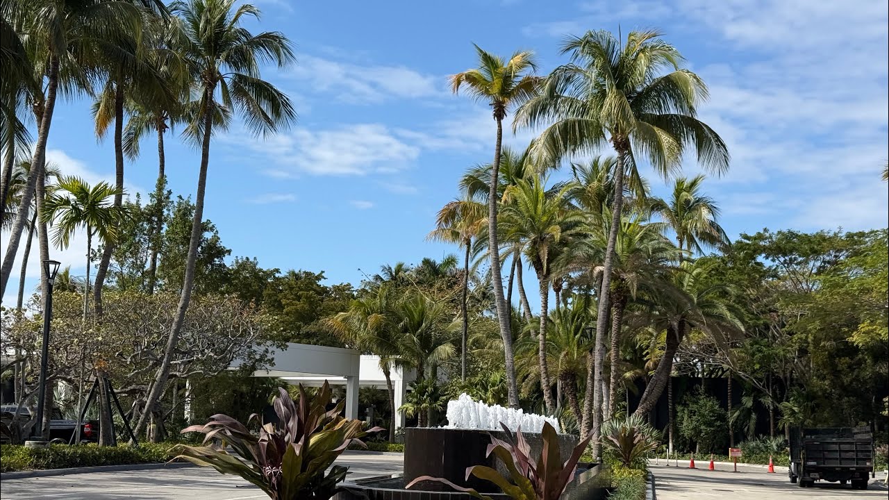 La sainteté et la joie