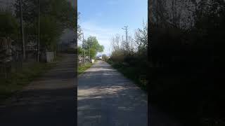 Zeynep Bastık - Eyvah .