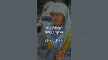 🌿ها أنتم هؤلاء تدعون لتنفقوا في سبيل الله 🌿ياسر الدوسري من سورة محمد#اكسبلور #قرآن_كريم #تلاوة_خاشعة