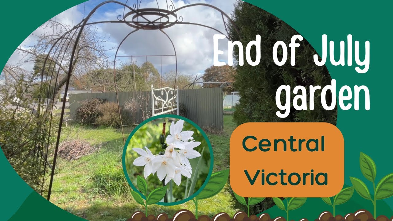 End of July garden. Central Victoria winter 