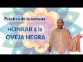 HONRAR a la OVEJA NEGRA