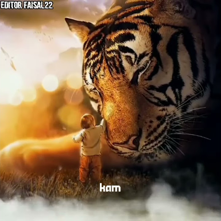 story wa khodam harimau