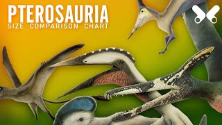 Size reference chart of various pterosaurs from around the world