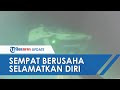 KSAL Ungkap Kru Kapal KRI Nanggala Sempat Berusaha Selamatkan Diri di Keadaan Darurat, Ini Faktanya