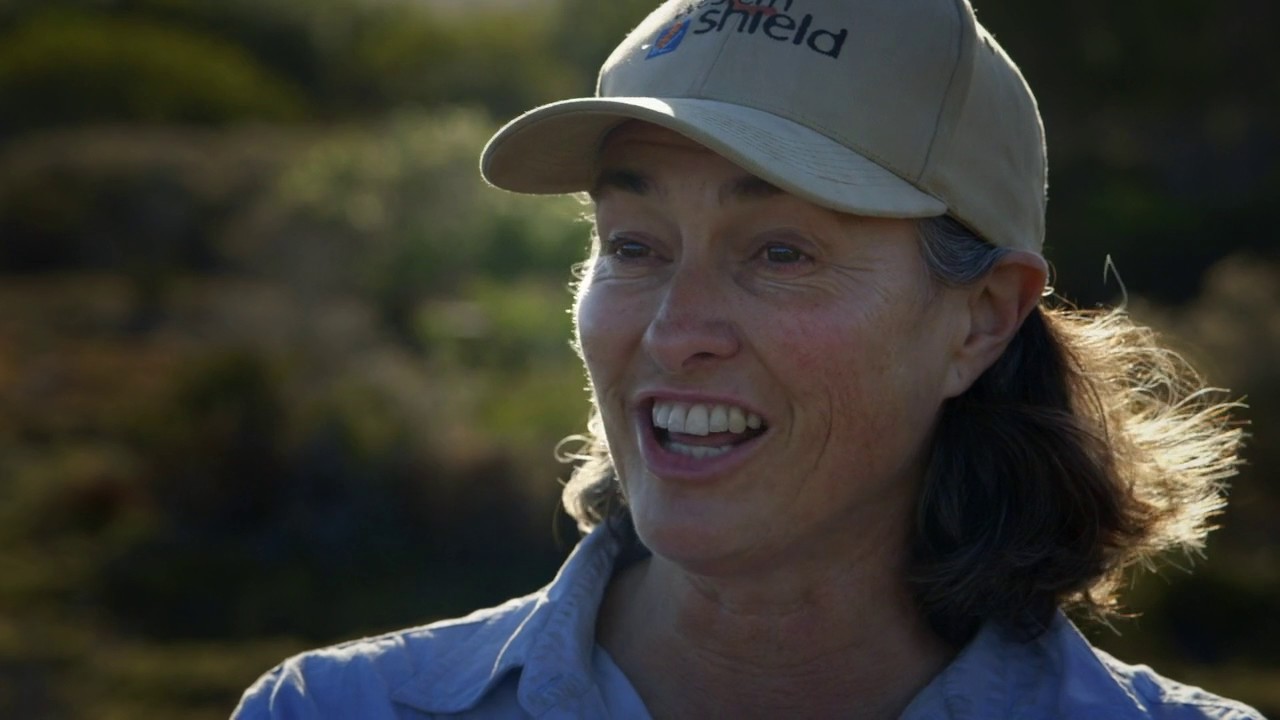 Secrets at Sunrise Teaser