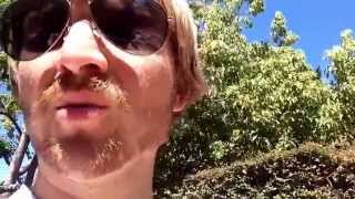 Chp Vlog