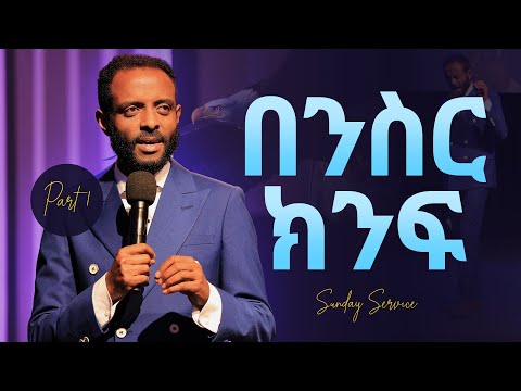 ቪዲዮ: ድመቶች መብረር ይፈልጋሉ?