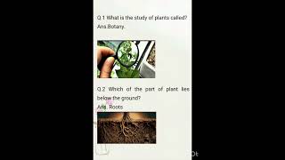 #plants#worksheets#evs