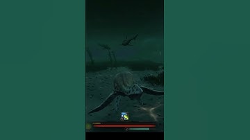 Ik vs. een haai #shortsfeed #shorts #short #pathoftitans #kaiwhekea
