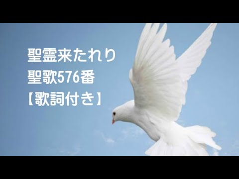 祝福 ／ 関根宣義 Nobuyoshi Sekine - YouTube