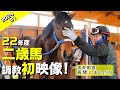 【二歳馬の成長 2024年＃1】撮影再開！2歳馬初登場！【坂路】　～若きサラブレッドの競走馬への道のり～