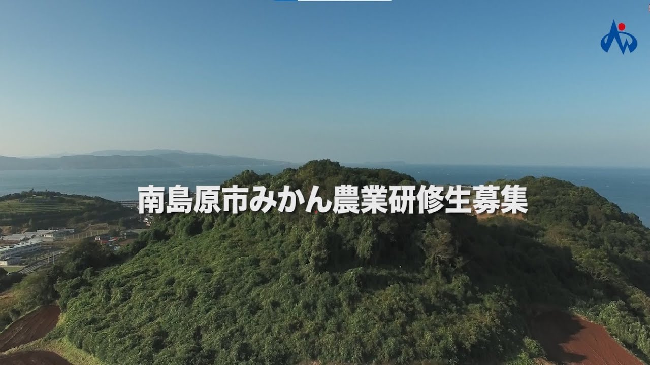 南島原市みかん農業研修生募集【〆7月29日】