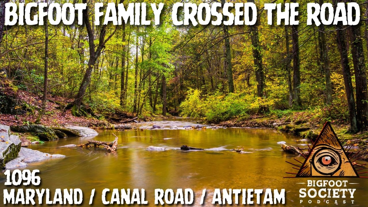 Maryland Bigfoot Family Crosses the Road at Midnight | Bigfoot Society 1096