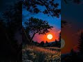Janam Janam Jo #explore #love #hindisong #song #shorts #like #reels #nature #music #india #duet #dj