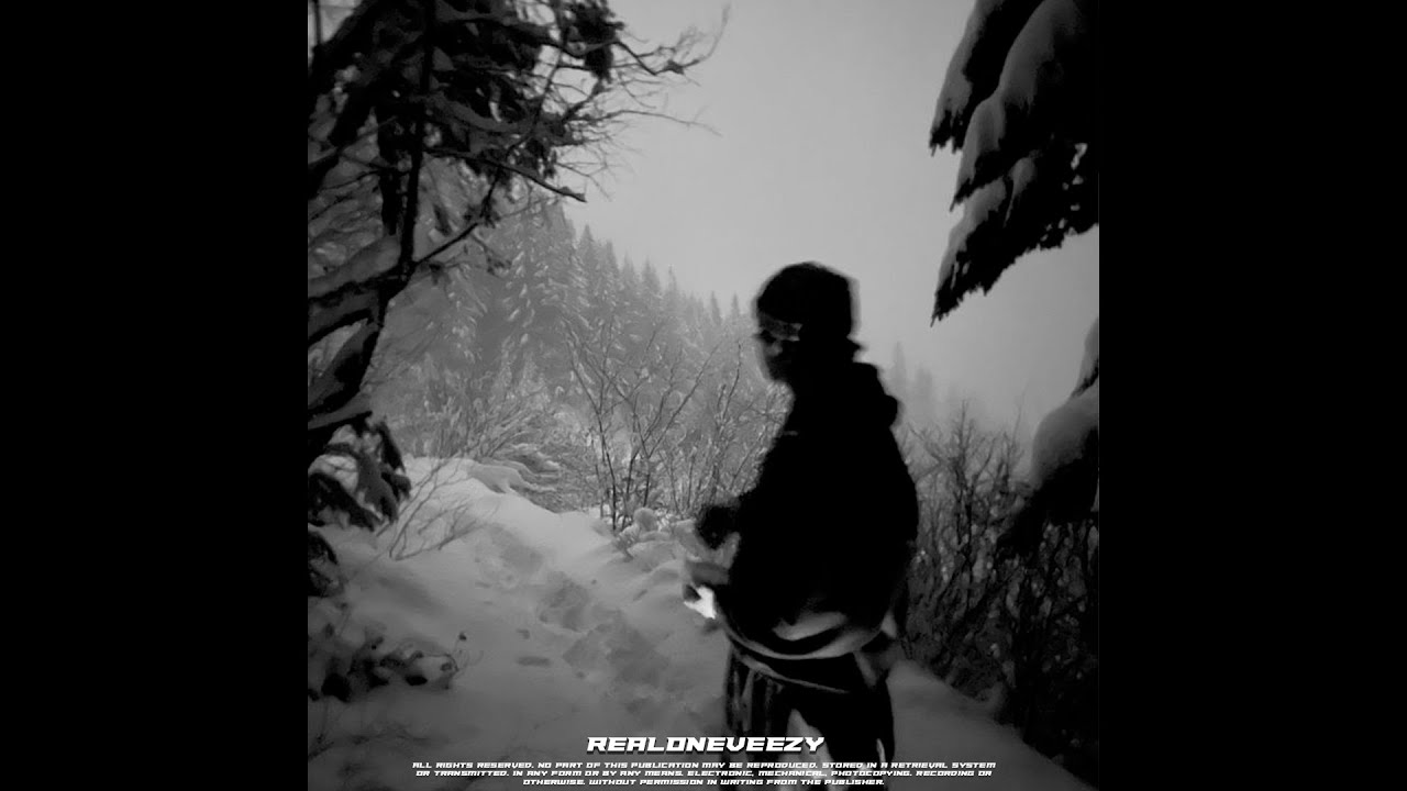 friendly thug 52 ngg & boom bap type beat - "sober"