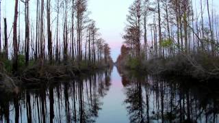 3 minute video HD 1080p