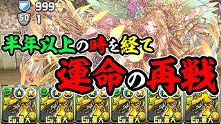 半年で成長しました！バッケス艦隊で闘技場リベンジ！【パズドラ】