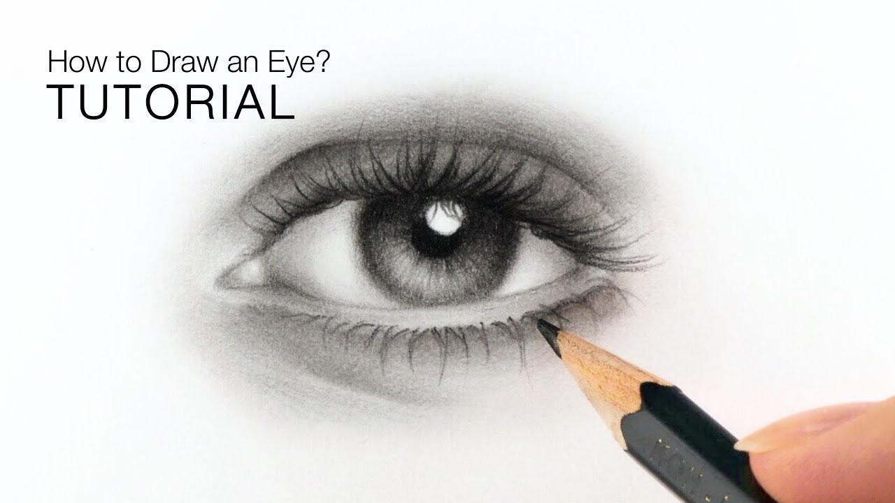 How to draw realistic eyes for BEGINNERS - EASY tutorial - YouTube