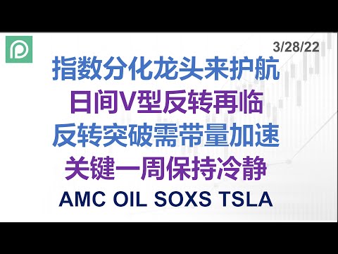 New 美股分析 AMC OIL SOXS TSLA 指数分化龙头来护航 日间V型反转再临 反转突破需带量加速 关键一周保持冷静