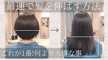 早く髪の毛を伸ばす方法 Mp3 早く髪の毛を伸ばす方法 Mp3