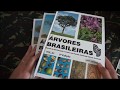 Árvores Brasileiras (Dica de Livro)