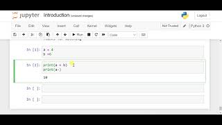 Arithmetic operation in Python | Rule followed in operation Net Worth