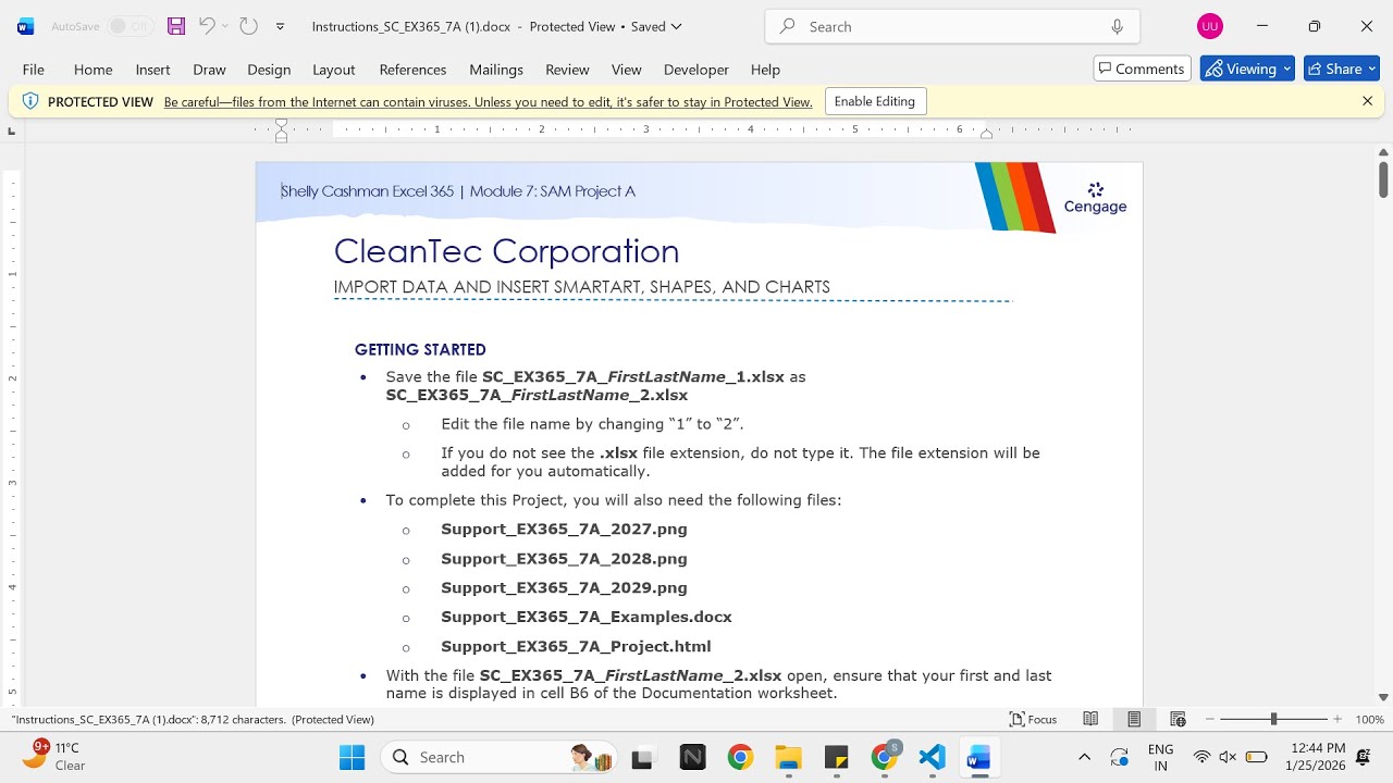Shelly Cashman Excel 365 | Module 7: SAM Project A CleanTec Corporation