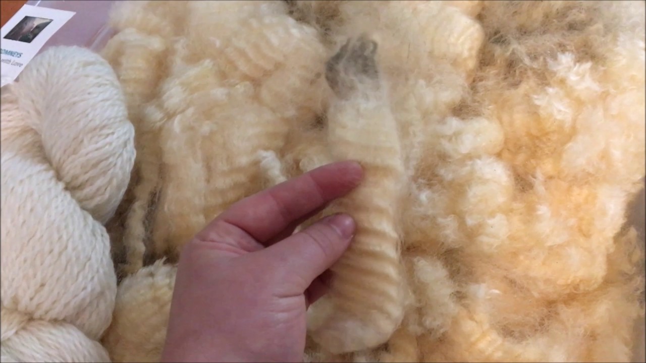 Vlog 2: Raw Fleece, Felt, Roving, or Yarn - YouTube