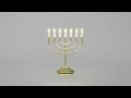 Sacred Menorah Background | 7 Minutes Holy Light Loop | Prayer Room Ambience