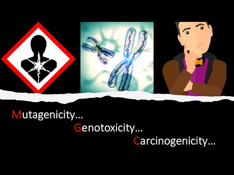 Video: Is genotoxiciteit hetzelfde als mutageniteit?