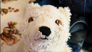 Winters Mission | A Short Film Made By A Silly Intergalactic Artic Fox