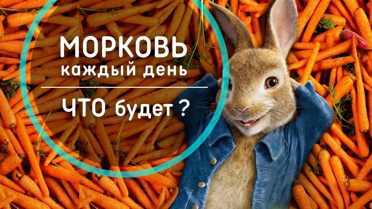 Что будет 🥕 если есть морковь каждый день? Почему надо есть морковь. Польза моркови