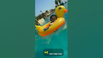 نونو 