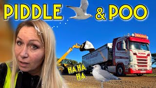 A day of Poo | I wasn't expecting that in the Piddle Valley