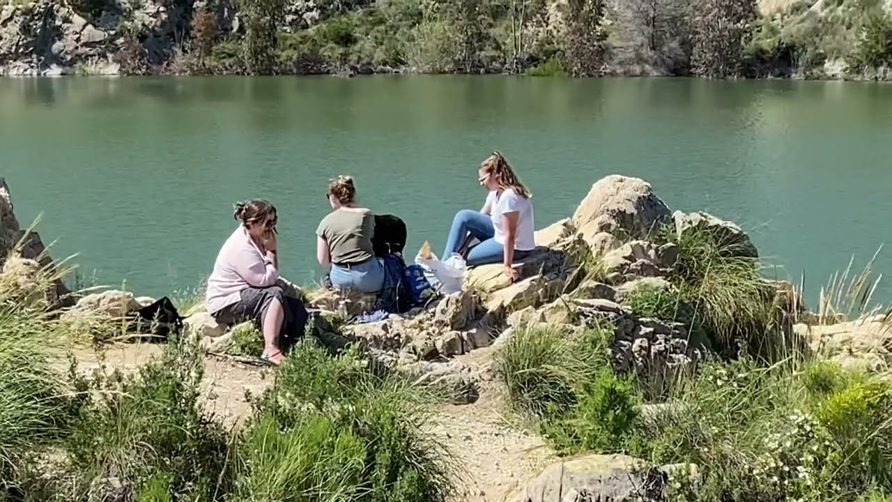 Turtles, fish and a picnic by the lake