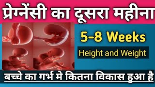 2nd Month Of Pregnancy (5-8 Weeks)  Baby Development, length, Weight Size| प्रेग्नेंसी के दूसरा माह